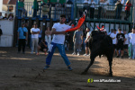 Ple a les exhibicions taurines vespertines en honor a la Verge del Xiquet Perdut