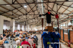L?AlcoraFolk es consagra com a espai de trobada i projecci� del folklore i la cultura popular