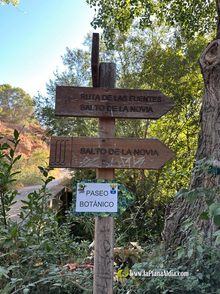 Navajas estrena el seu passeig bot�nic