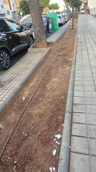 PSPV reclama solución urgente para la parada de autobús en la avenida Alcora y mejoras en jardineras y pasos peatonales