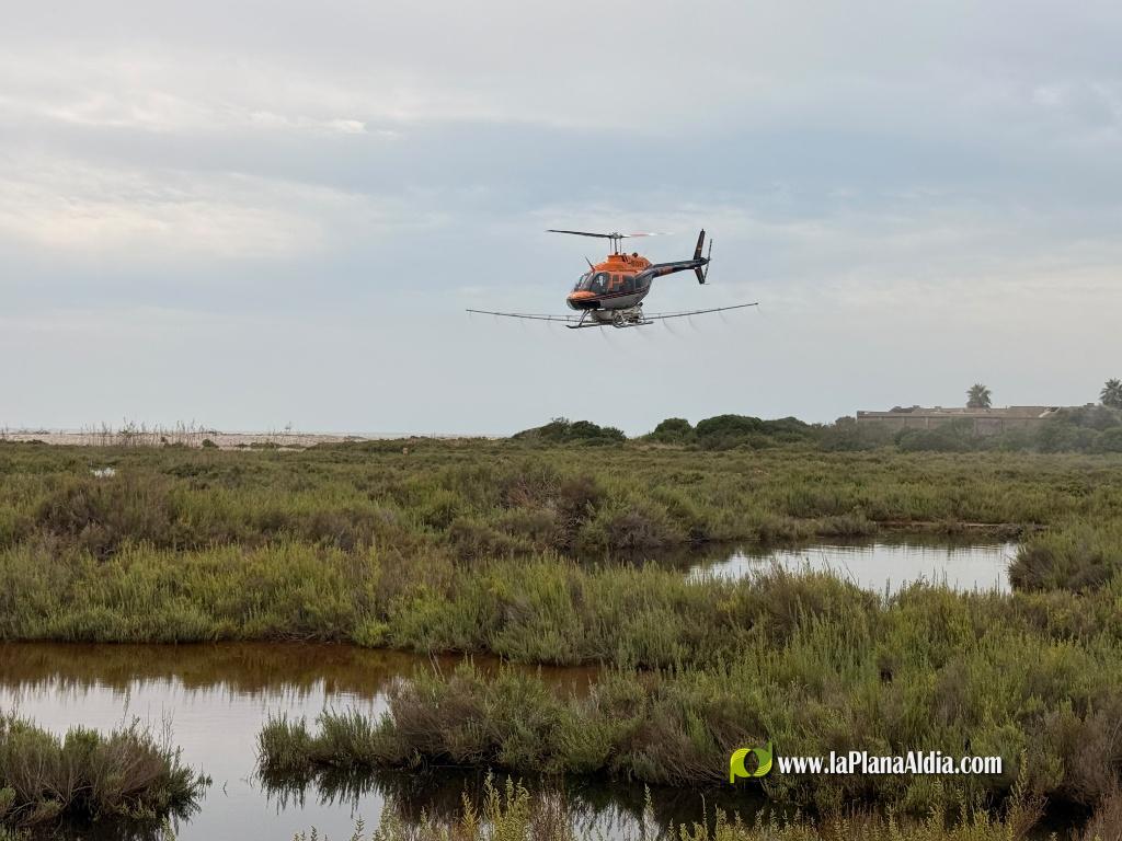 La Diputación de Castellón intensifica los tratamientos contra los mosquitos por vía aérea y terrestre