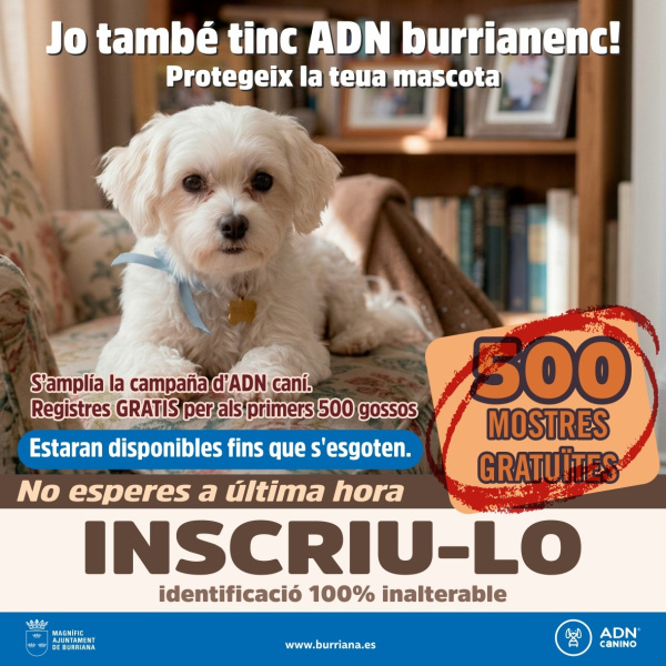 burriana-amplia-500-analisis-gratuitos-y-encara-la-recta-final-de-la-campa-a-de-adn-canino