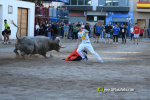 Les Alqueries tanca el cap�tol taur� amb toros de Motalvo i Villalpando