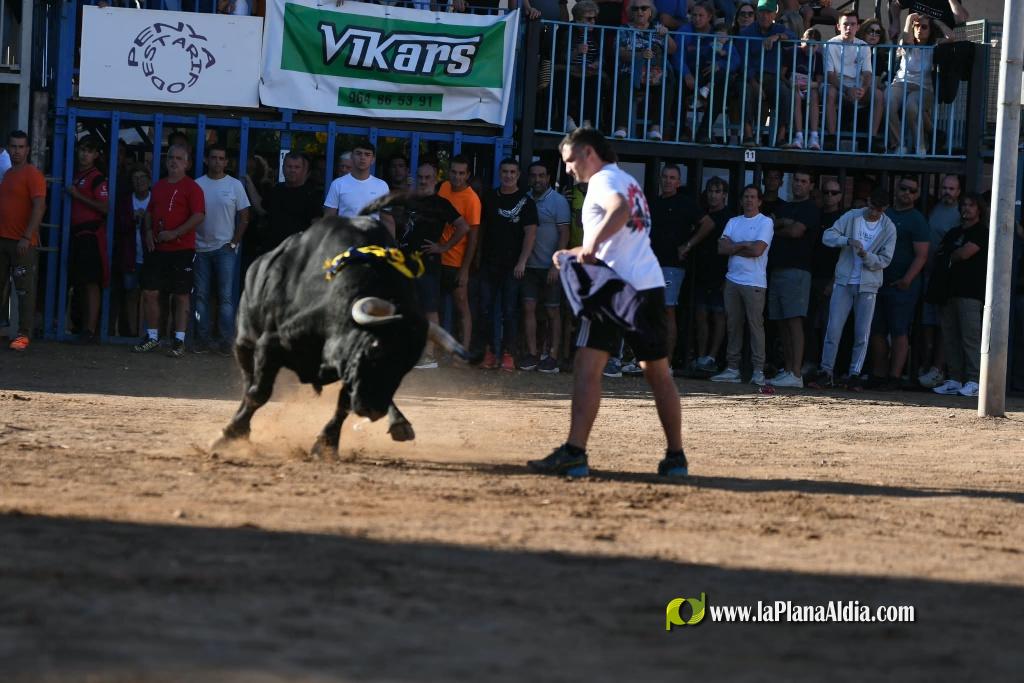Les Alqueries tanca el cap�tol taur� amb toros de Motalvo i Villalpando