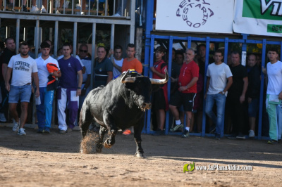 Fotografia /Galeria/2026/10/268905_174833/2_M1.jpg