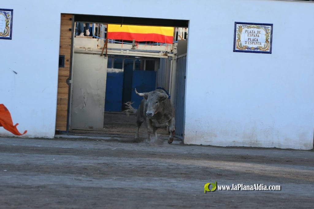 Les Alqueries tanca el cap�tol taur� amb toros de Motalvo i Villalpando