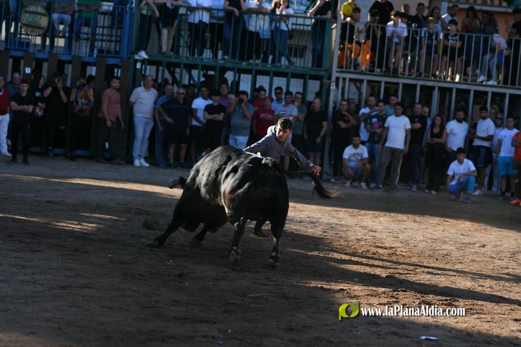 Les Alqueries tanca el cap�tol taur� amb toros de Motalvo i Villalpando