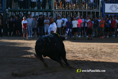 Fotografia /Galeria/2026/10/268905_174833/5_M1.jpg