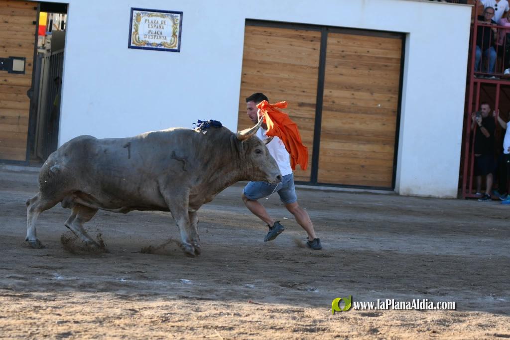 Les Alqueries tanca el cap�tol taur� amb toros de Motalvo i Villalpando