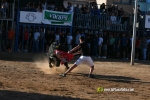 Les Alqueries tanca el cap�tol taur� amb toros de Motalvo i Villalpando