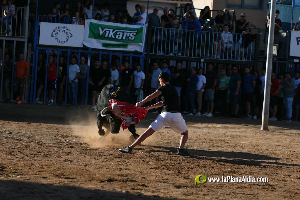 Les Alqueries tanca el cap�tol taur� amb toros de Motalvo i Villalpando