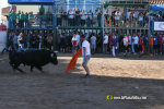Les Alqueries tanca el cap�tol taur� amb toros de Motalvo i Villalpando