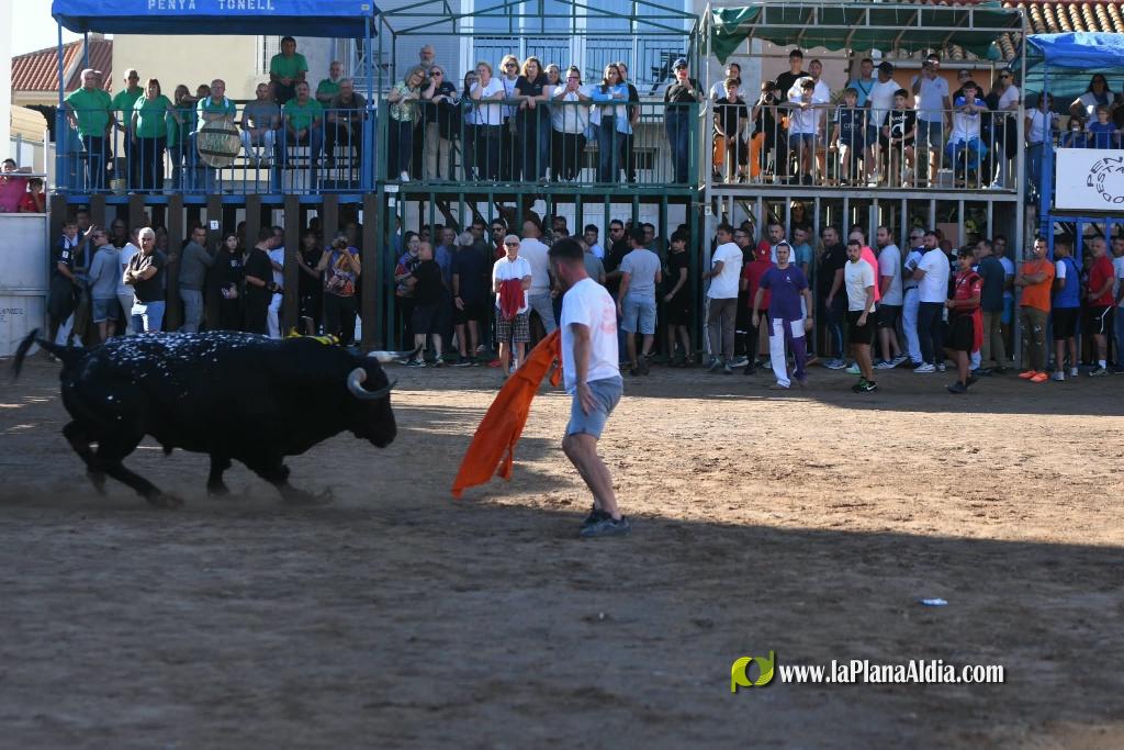 Les Alqueries tanca el cap�tol taur� amb toros de Motalvo i Villalpando