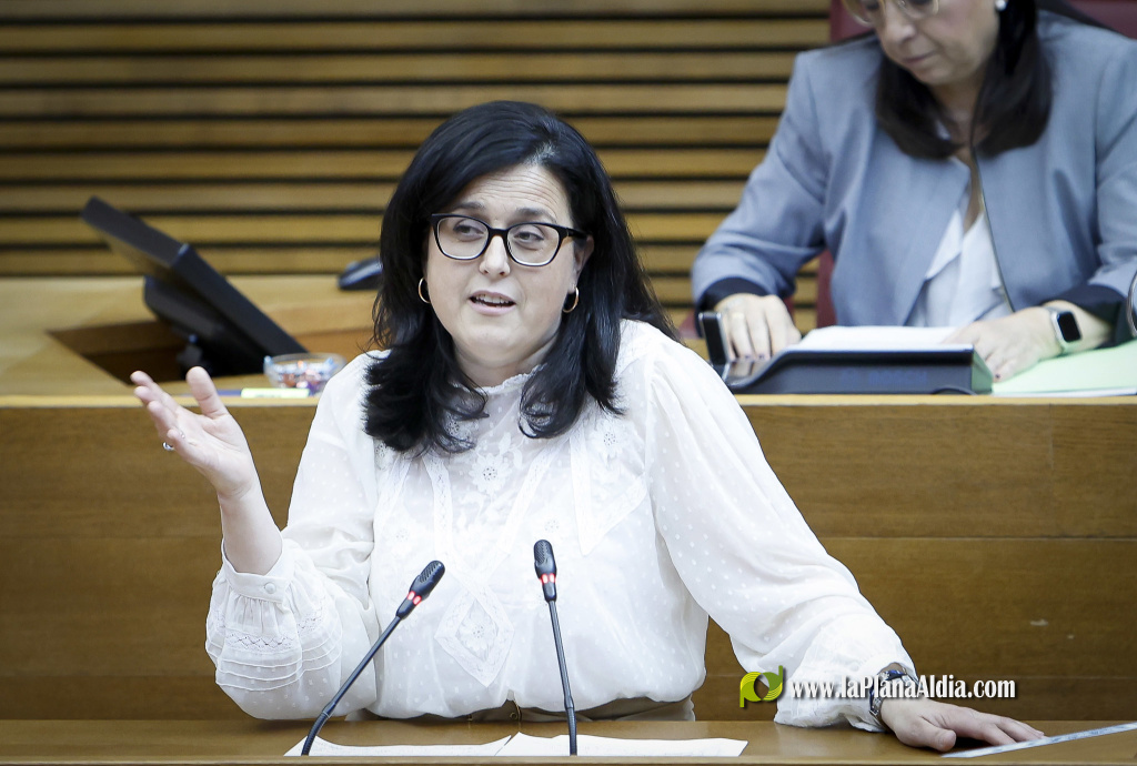 Nieves Martínez acusa al PSPV de entrar en un bucle con la sanidad privada para desprestigiar al Consell