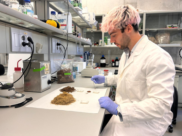 La UMH desarrolla un envase inteligente a partir de la paja de arroz para frenar la pérdida de alimentos