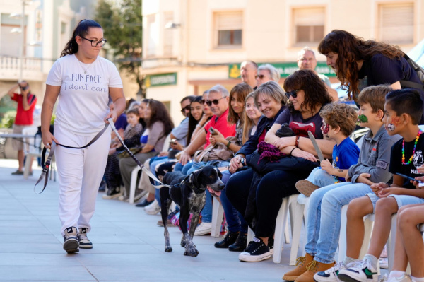 l-alcora-celebra-la-vi-feria-de-adopcion-animal-para-fomentar-la-adopcion-responsable