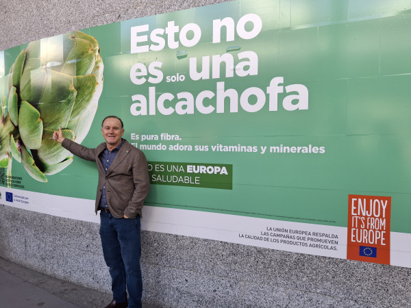 Alcachofa de España reclama estabilidad para afrontar una nueva campaña con garantías