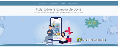 los-fallos-informaticos-aplazan-a-hoy-la-campa-a-de-bon-los-bonos