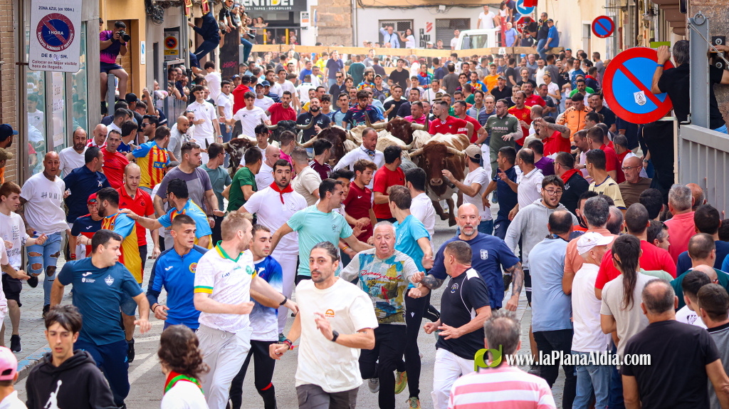 À Punt retransmitirá los encierros de la Fira d'Onda con tres ganaderías de primer nivel