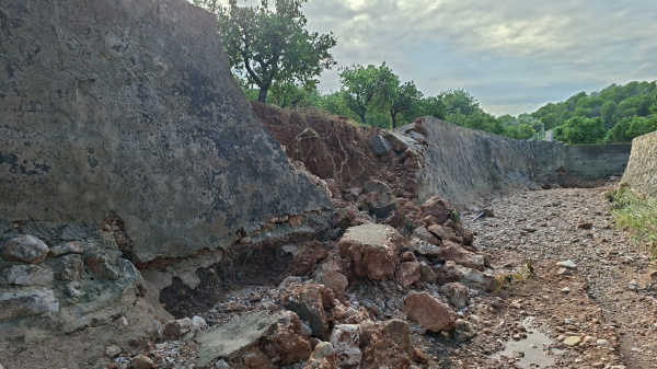 la-unio-reclama-un-paquete-extraordinario-de-ayudas-tras-la-dana-que-ocasiona-21-millones-en-9-000-hectareas