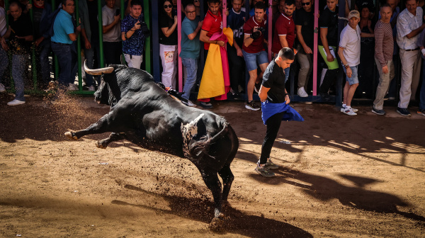 Fotografia /Galeria/2026/10/269409_175189/5_M1.jpg