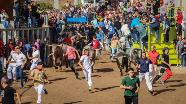 Encierro multitudinario en la Fira d'Onda 2026 y homenaje a las asociaciones de diversidad funcional
