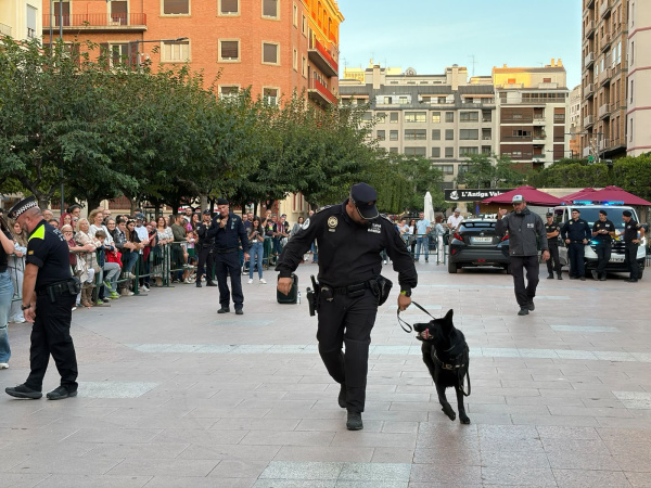Castellón exhibe el trabajo de los perros policía en la plaza Huerto Sogueros