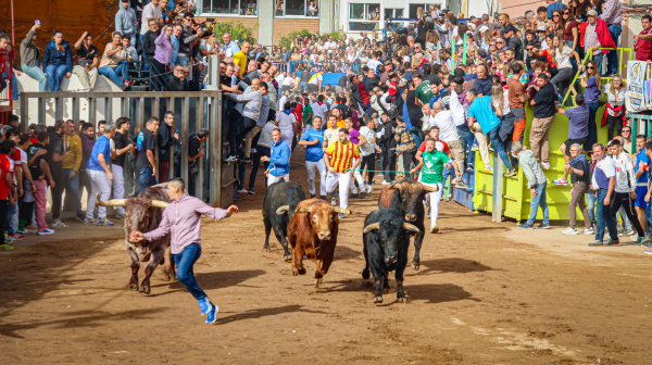 Onda cierra la Fira con encierro de seis toros de Santiago Domecq y concierto de Marta Santos