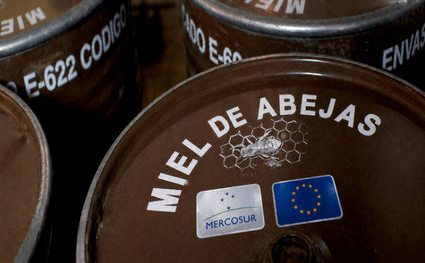 El contingente arancelario de miel de Mercosur se agota en el primer periodo y las importaciones se disparan en la UE, advierte LA UNIO