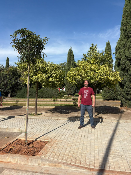 la-vall-da-uixo-planta-mas-de-400-arboles-y-arbustos-para-hacer-una-ciudad-mas-verde-y-habitable