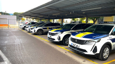 CSIF exige a la Generalitat un plan anual de formaci�n para polic�as locales en la Comunitat Valenciana