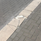 Fotografia /Galeria/2026/2/256269_165755/2_M1.jpg