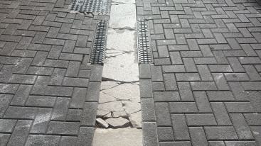 Fotografia /Galeria/2026/2/256269_165755/3_M1.jpg