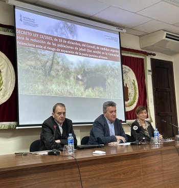 Segorbe acoge el encuentro de balance del plan contra la sobrepoblaci�n de jabal�es