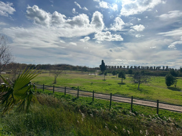 Moncofa licita la concesi�n para la instalaci�n de un restaurante-cafeter�a junto al parque Luz Casal