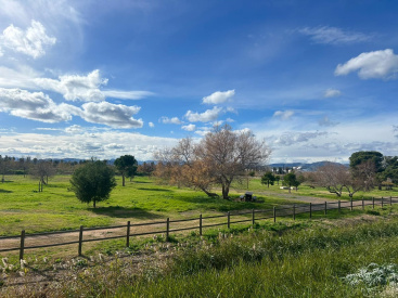 Fotografia /Galeria/2026/2/256305_165784/2_M1.jpg