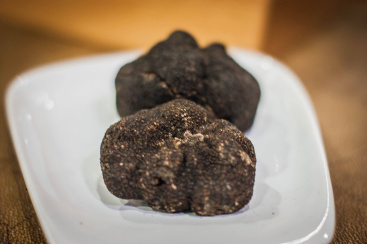 Fotografia /Galeria/2026/2/256352_165824/2_M1.jpg