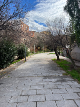 Fotografia /Galeria/2026/2/256353_165825/2_M1.jpg