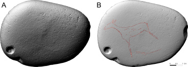 Fotografia /Galeria/2026/2/256401_165855/2_M1.jpg