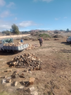 Vilafranca se despide de Sant Antoni 2026 con la subasta de troncos