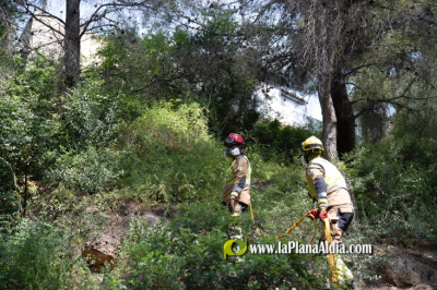 La Diputaci�n de Castell�n impulsa un proyecto para fortalecer las capacidades de prevenci�n y respuesta ante incendios forestales en la provincia