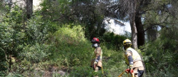 La Diputaci�n de Castell�n impulsa un proyecto para fortalecer las capacidades de prevenci�n y respuesta ante incendios forestales en la provincia