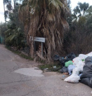 Fotografia /Galeria/2026/2/256605_166009/1_M1.jpg