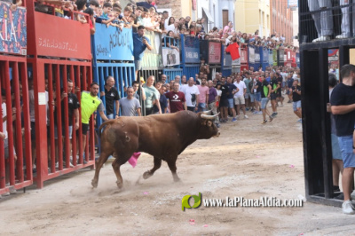 Nace una nueva Penya Taurina y este a�o podr�an ser 18 toros cerriles en las Fiestas del Cristo