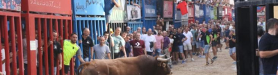 Nace una nueva Penya Taurina y este a�o podr�an ser 18 toros cerriles en las Fiestas del Cristo