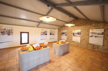 Fotografia /Galeria/2026/2/256708_166076/5_M1.jpg