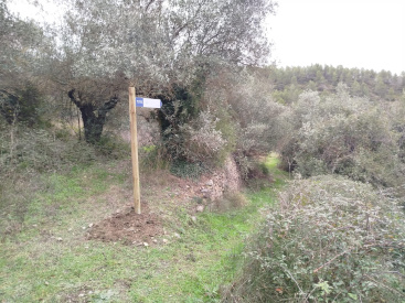 Mont�n refuerza su apuesta por las rutas saludables y la se�alizaci�n para mejorar el entorno natural