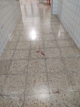 Fotografia /Galeria/2026/2/256968_166269/4_M1.jpg