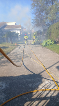 Fotografia /Galeria/2026/2/256985_166283/4_M1.jpg