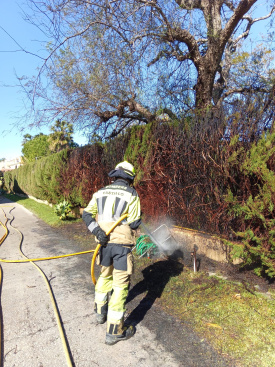 Fotografia /Galeria/2026/2/256985_166283/5_M1.jpg